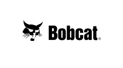 bobcat